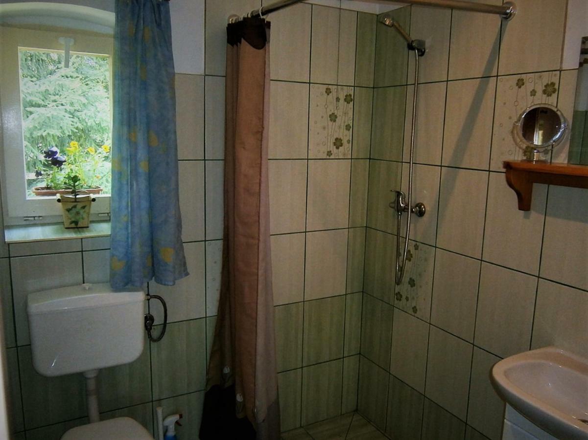 Gosciniec Pod Debem Villa Trzciel Exteriör bild